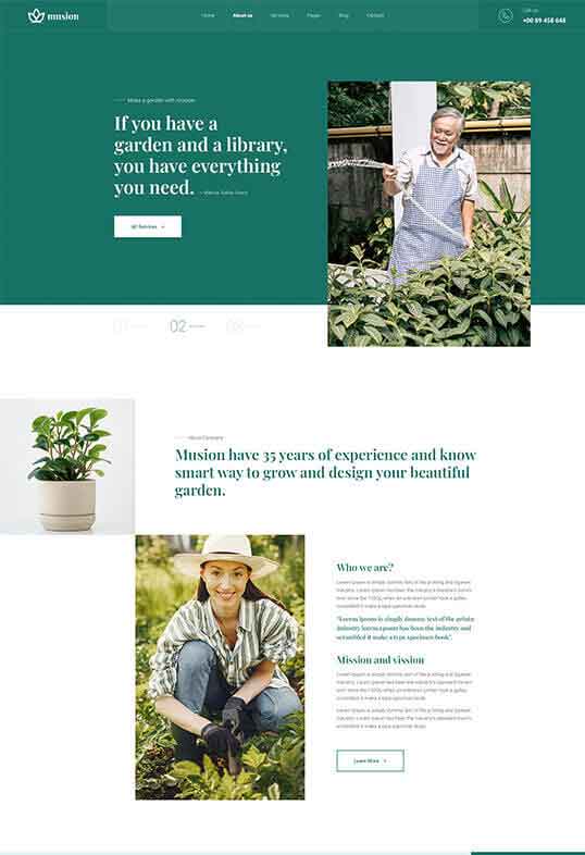 攻击网站服务器